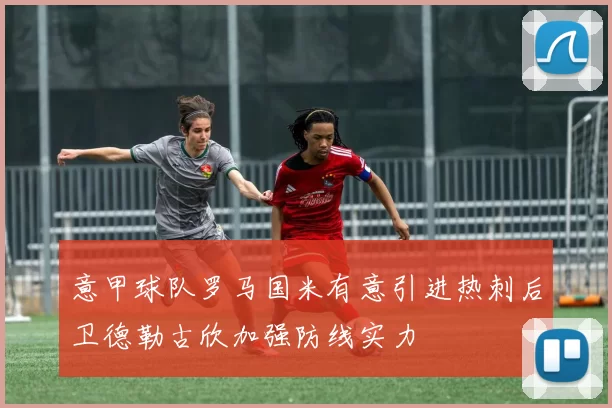 意甲球队罗马国米有意引进热刺后卫德勒古欣加强防线实力